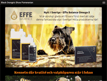 Tablet Screenshot of blackoranges.se